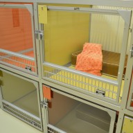 Pampered Pet Cozy 2