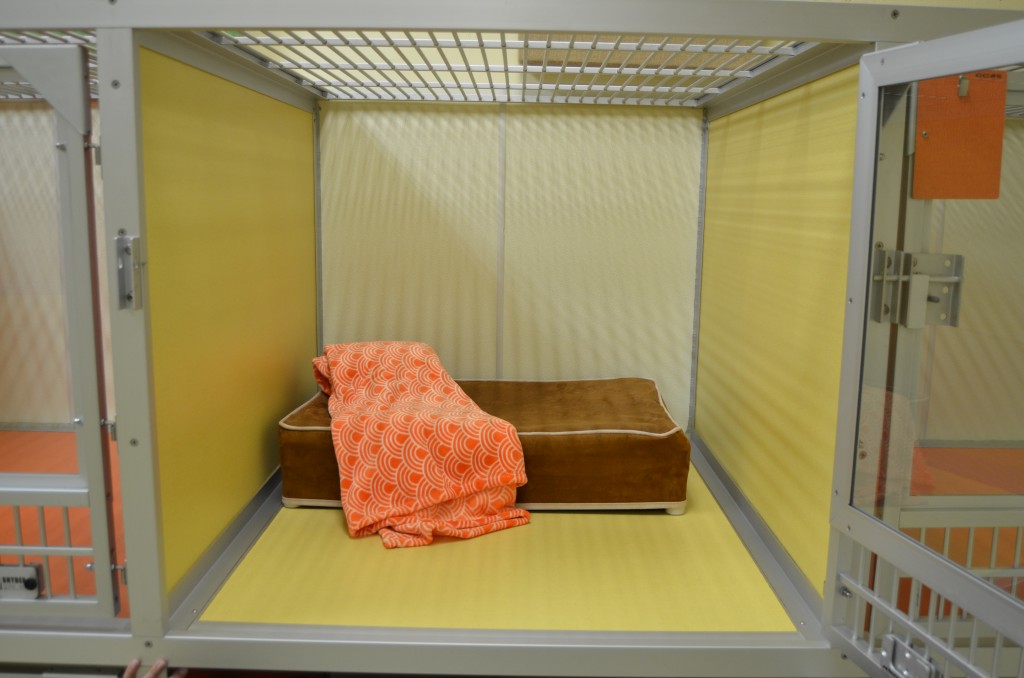 Cozy Boarding Rooms Pampered Pets