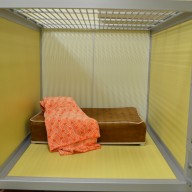 Pampered Pet Cozy 3