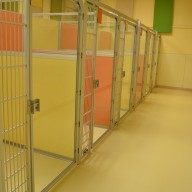 Pampered Pets Deluxe Suite 3